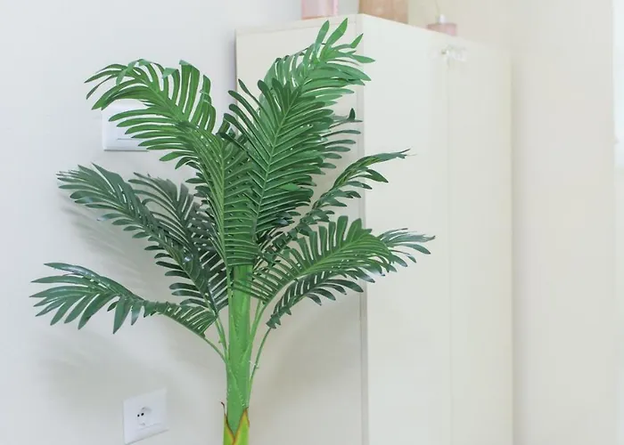 Ingrit Gjoni アパート *