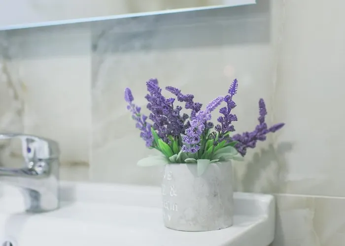 아파트 Ingrit Gjoni *